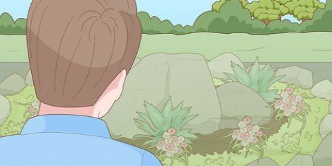 Criando um jardim de pedras com prevenção de ervas daninhas