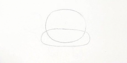 Desenhando uma tartaruga