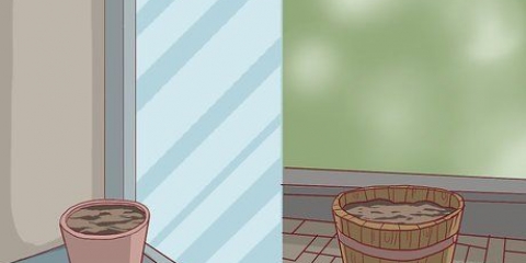 Cuidando de um espargo decorativo
