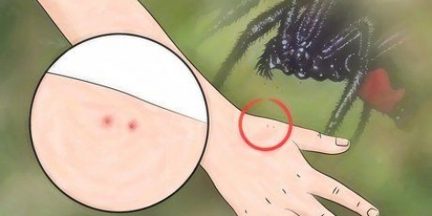 Identificando uma picada de aranha