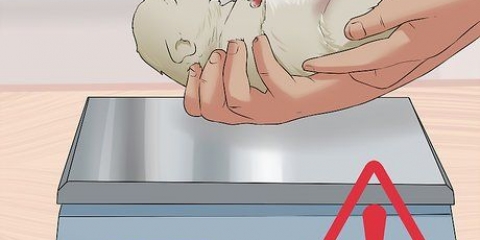 Salvando um cachorrinho recém-nascido moribundo