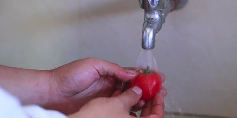 Cortar um tomate