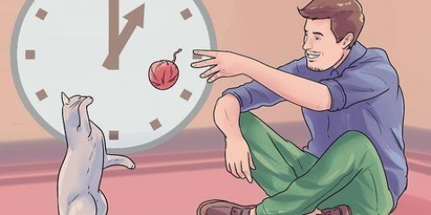 Pegue um segundo gato e não perturbe o gato velho