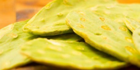 Comer um cacto de pera espinhosa