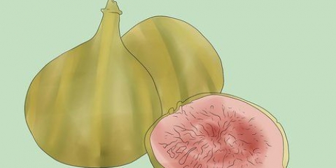 Como cultivar uma figueira em seu jardim