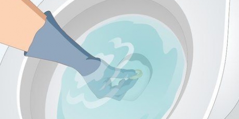 Recuperar um objeto que caiu no vaso sanitário
