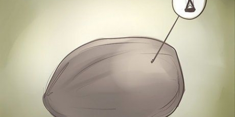 Cultivando uma mandioca