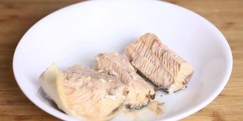 Fazendo um hambúrguer de salmão