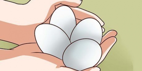 Pasteurização de ovos