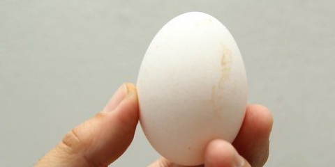 Limpeza de ovos