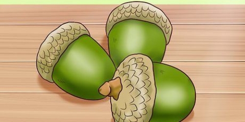 Processamento de bolotas em alimentos