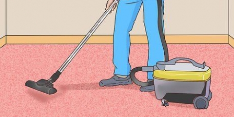 Evite que sua casa cheire como seus animais de estimação