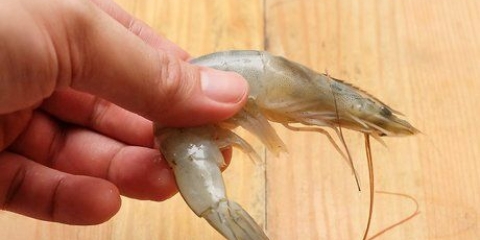 Limpeza de camarão