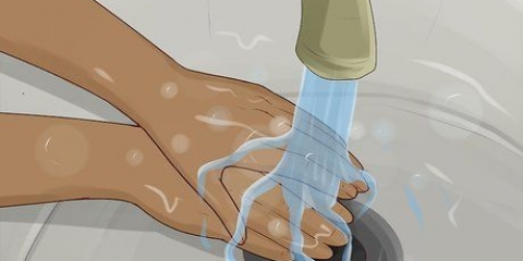 Limpando orelhas perfuradas infectadas