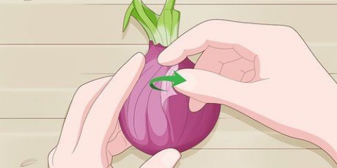 Plantar cebolas germinadas