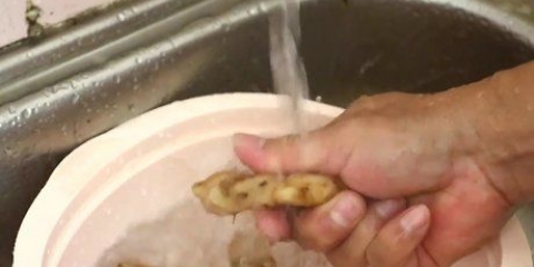 Espremendo o suco de gengibre