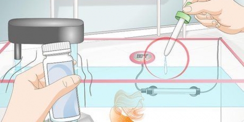 Criação de peixinhos dourados