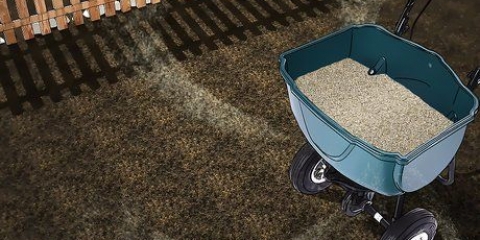 Cultivando grama a partir de sementes
