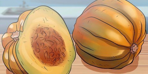 Conservas de legumes da família do pepino
