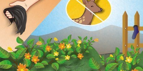 Mantenha os veados fora do seu jardim
