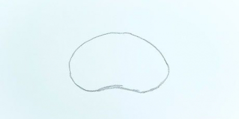 Desenhando o cérebro
