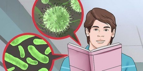 Saiba a diferença entre uma bactéria e um vírus