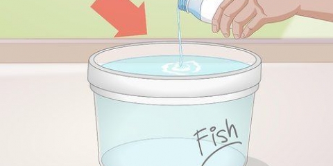 Mudando a água em um aquário de água doce
