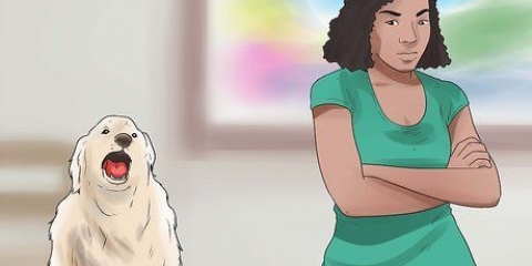 Como fazer os cães pararem de uivar