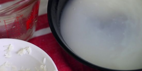 Fazendo horchata