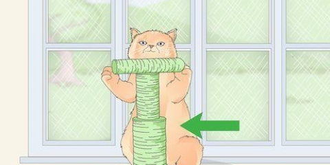 Proteja as telas dos gatos