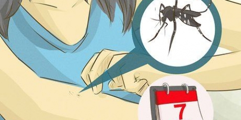 Cuidando de alguém com dengue