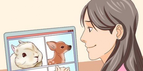 Esqueceu algo terrível que você viu na internet