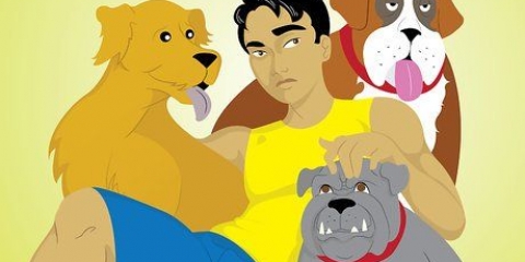 Viver em uma casa com vários cães