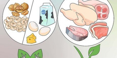 Ganhar peso se você comer vegetariano