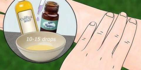 Repelir insetos com lavanda