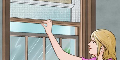 Deixe seu apartamento à prova de gatos