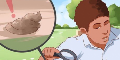 Verificando sua saúde pela cor do cocô e das fezes