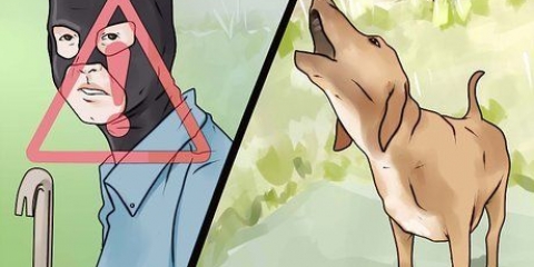 Como fazer seu cachorro parar de latir para desconhecidos
