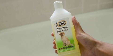 Faça o seu cão cheirar melhor