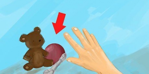 Ensinando seu cão a soltar