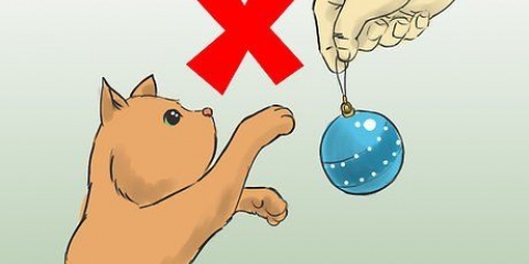 Protegendo sua árvore de natal dos gatos