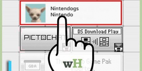 Excluir seu jogo nintendogs