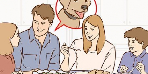 Convencer seus pais a ter um cachorro