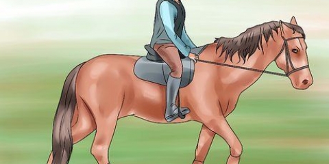 Ensine ao seu cavalo um galope manual