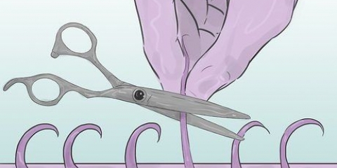 Raspe seus pelos pubianos
