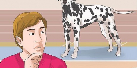Vestir-se como um cachorro (para cosplay)