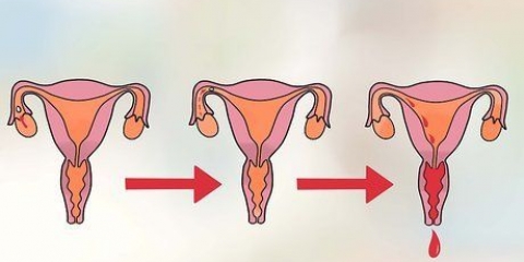 Determine o seu dia mais fértil para engravidar