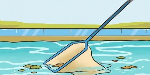 Limpando sua piscina você mesmo