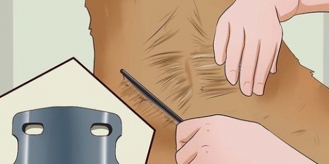 Diagnosticando e tratando os problemas de pele com coceira do seu cão