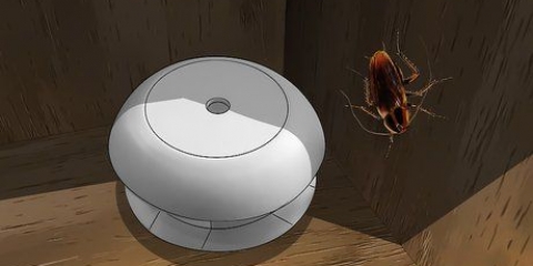 Combatendo baratas em um apartamento
